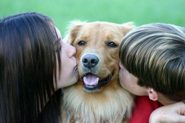 le persone baciano un cane e si infettano con i vermi